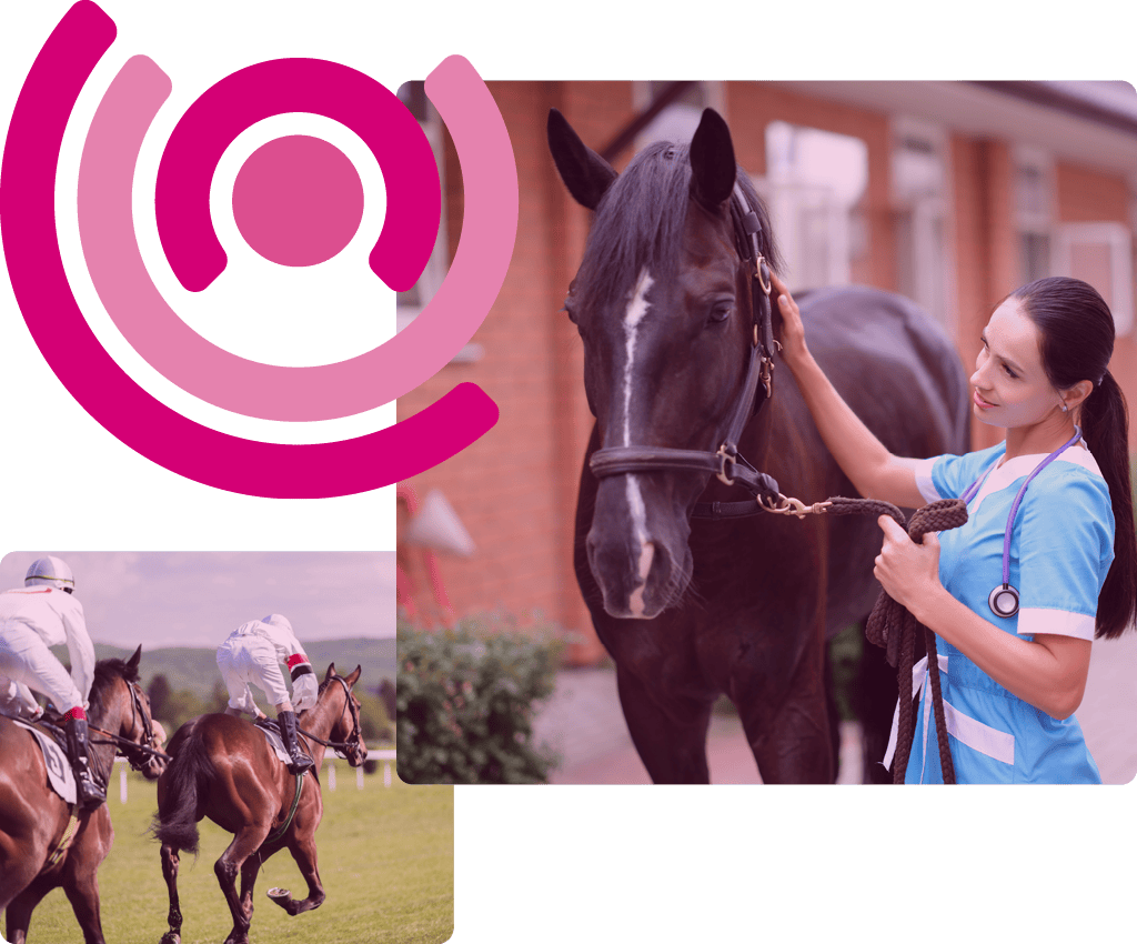 canopius-image-block-insurance-equine1
