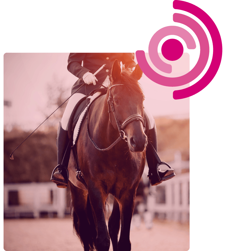 canopius-image-block-insurance-equine2