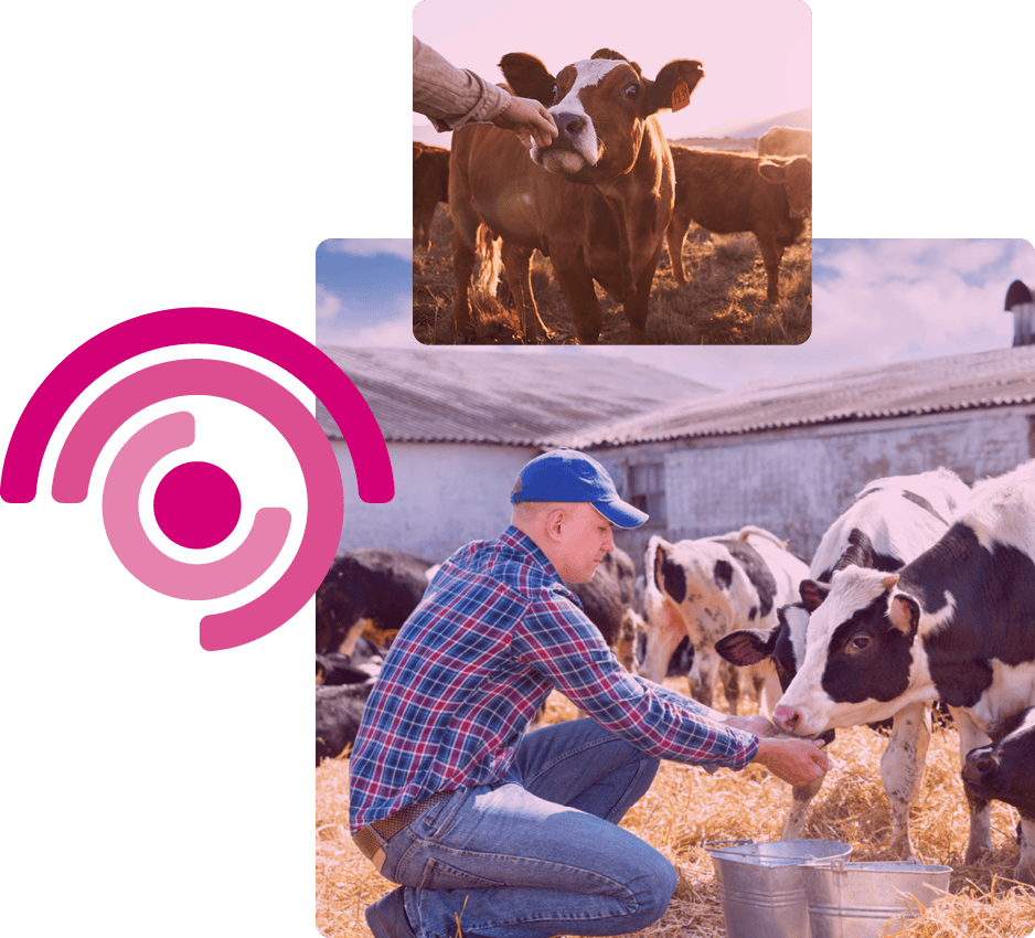 canopius-image-block-insurance-livestock1